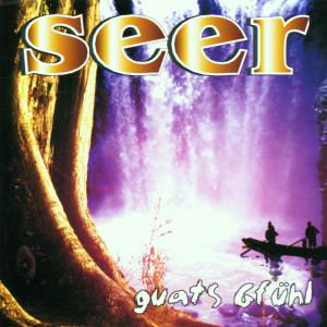 Cover for Seer · Guats Gfuhl (CD) (2001)