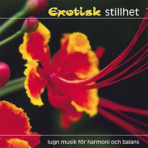 Cover for Exotisk Stillhet · Exotisk Stillhet - (CD) (2006)