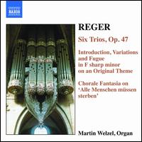 Cover for Reger / Wetzel · Organ Works 6 (CD) (2005)