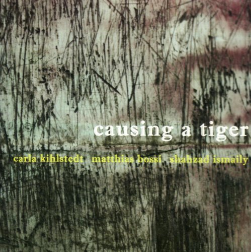Cover for Kihlstedt Carla / Bossi Matthias / Ismaily Shahzad · Kihlstedt Carla / Bossi Matthias / Ismaily Shahzad - Causing A Tiger (CD) (2010)