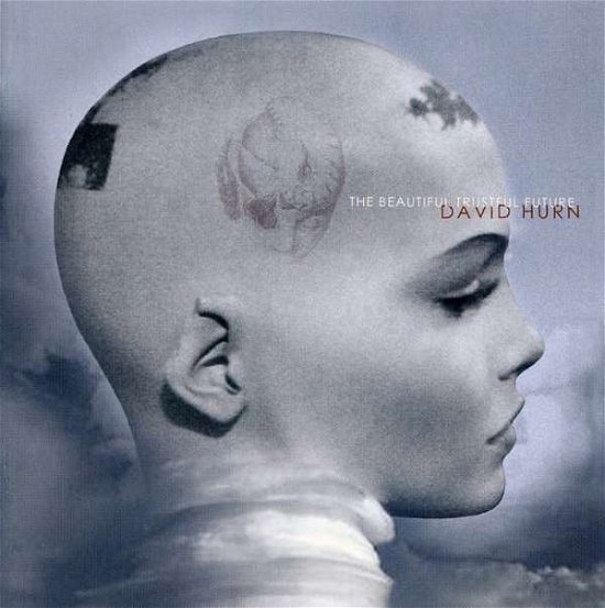 Beautiful Trustful Future - David Hurn - Musik - FIRE - 0809236110824 - 7. august 2013