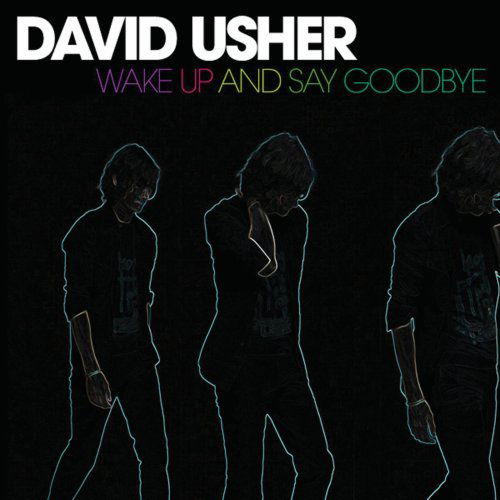 Wake Up and Say Goodbye - David Usher - Muziek - POP - 0823674648824 - 30 juni 1990