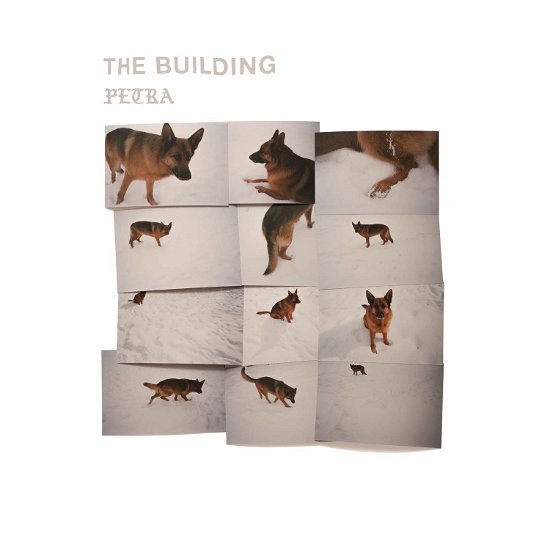 Cover for Building · Petra (CD) [Digipak] (2019)