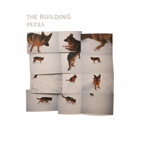 Petra - Building - Música - CONCORD RECORDS - 0888072113824 - 11 de outubro de 2019