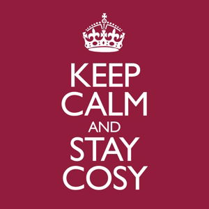 Cover for Various Artists · Keep Calm &amp; Stay Cosy (CD) (2016)