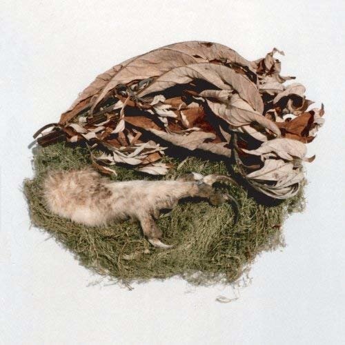Cover for Bird By Snow · Offering (LP) (2012)