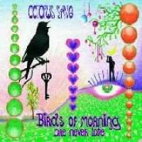 Cover for Octopus Syng · Birds Of Morning Die Neve (CD) (2007)