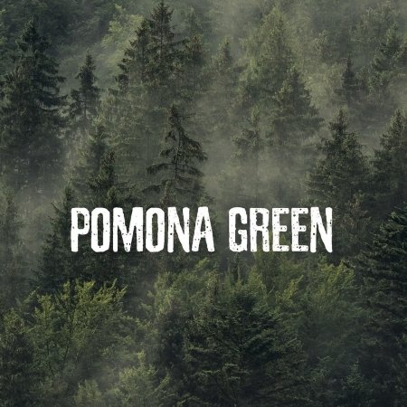 Cover for Pomona Green (CD) (2020)