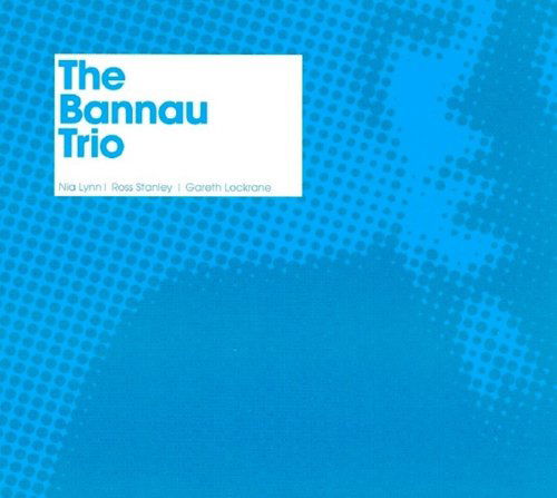 Cover for Bannau Trio · The Bannau Trio (CD) (2008)