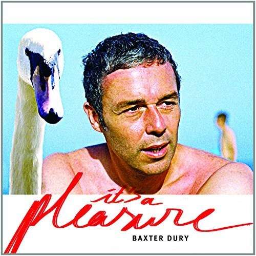 Cover for Baxter Dury · Its A Pleasure (CD) (2014)