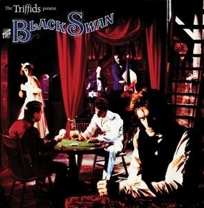 Triffids · The Black Swan (CD) (2017)