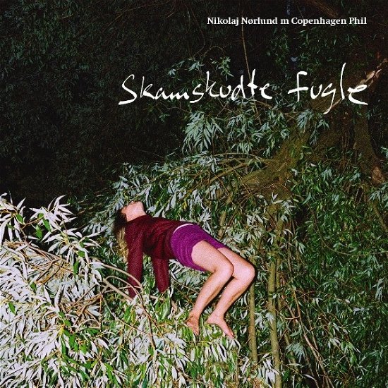Cover for Nikolaj Nørlund / Copenhagen Phil · Skamskudte Fugle (CD) (2017)