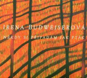 Cover for Irena Budweiserova · Nekdy Si Pripadam Jak Ptak (CD) (2005)