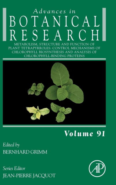 Cover for Bernhard Grimm · Metabolism, Structure and Function of Plant Tetrapyrroles: Control Mechanisms of Chlorophyll Biosynthesis and Analysis of Chlorophyll-Binding Proteins - Advances in Botanical Research (Hardcover Book) (2019)