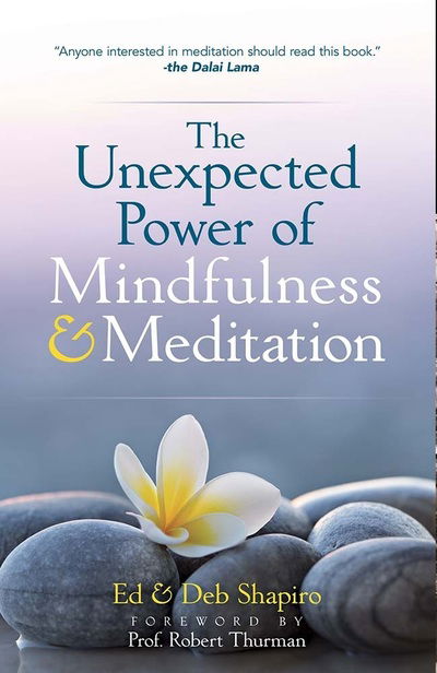 Cover for Ed Shapiro · The Unexpected Power of Mindfulness and Meditation (Paperback Book) (2019)
