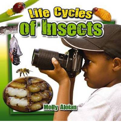 Cover for Molly Aloian · Life Cycles of Insects - Insects Close-Up (Paperback Book) (2013)