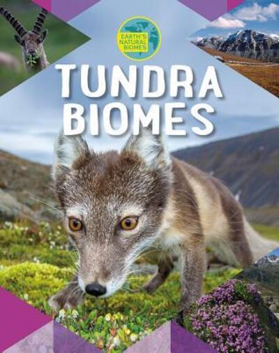 Cover for Louise A Spilsbury · Tundra Biomes (Paperback Book) (2018)