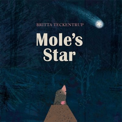 Mole's Star - Britta Teckentrup - Książki - Hachette Children's Group - 9781408342824 - 4 października 2018