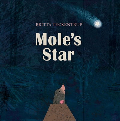 Mole's Star - Britta Teckentrup - Books - Hachette Children's Group - 9781408342824 - October 4, 2018