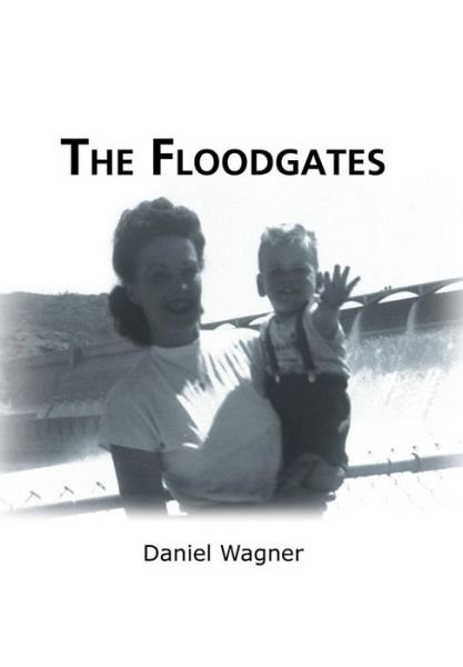Cover for Daniel Wagner · The Floodgates (Hardcover Book) (2013)