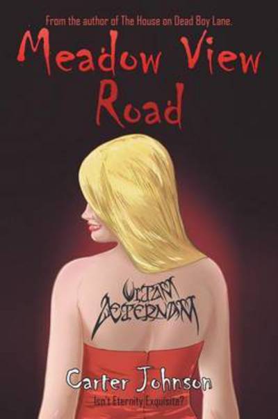 Cover for Carter Johnson · Meadow View Road (Paperback Book) (2015)