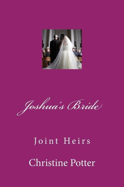 Cover for Christine Potter · Joshua's Bride Volume 3 Joint Heirs: Joshua's Bride Volume 3 Joint Heirs (Paperback Book) (2015)