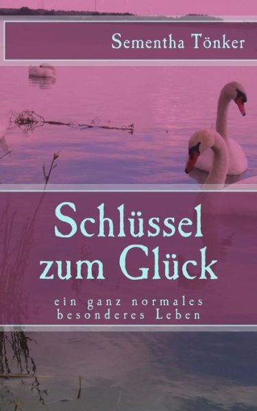 Cover for Luig · Schlussel zum Gluck (Taschenbuch) (2016)