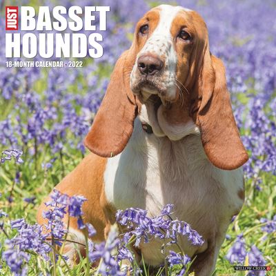 Cover for Willow Creek Press · Just Basset Hounds 2022 Wall Calendar (Dog Breed) [Edizione: Regno Unito] (Book) (2021)