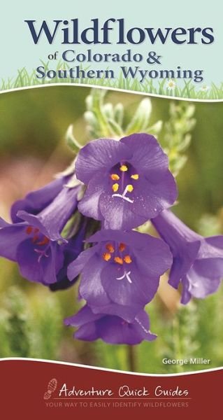 Wildflowers of Colorado & Southern Wyoming: Your Way to Easily Identify Wildflowers - Adventure Quick Guides - George Oxford Miller - Books - Adventure Publications, Incorporated - 9781591936824 - June 1, 2017