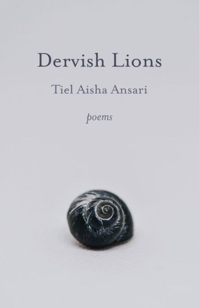 Dervish Lions - Barclay Press - Books - Barclay Press - 9781594980824 - January 28, 2022