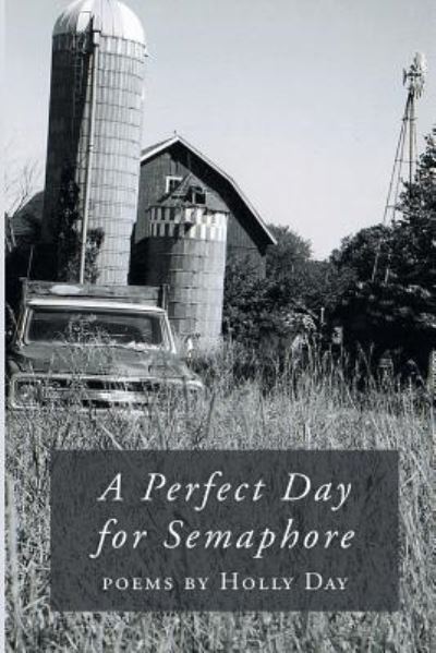 Cover for Holly Day · A Perfect Day for Semaphore (Paperback Book) (2018)