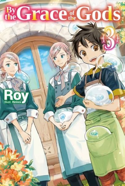 Cover for Roy · By the Grace of the Gods: Volume 3 - By the Grace of the Gods (Light Novel) (Paperback Bog) (2021)