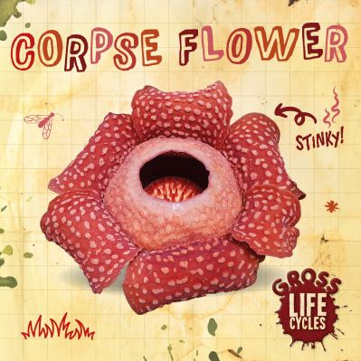 Cover for William Anthony · Corpse Flower - Gross Life Cycles (Gebundenes Buch) (2021)