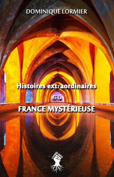 Cover for Dominique Lormier · Histoires extraordinaires de la France mysterieuse (Paperback Book) (2020)