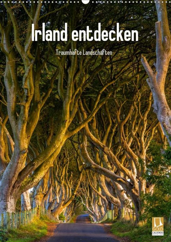 Cover for Ringer · Irland entdecken (Wandkalender 2 (Bok)