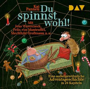 Cover for Kai Pannen · Du spinnst wohl! Eine außergewöhnliche Adventsgeschichte in 24 Kapiteln (Audiobook (CD)) (2024)