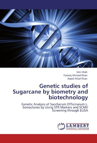 Cover for Aqeel Afzal Khan · Genetic Studies of Sugarcane by Biometry and Biotechnology: Genetic Analysis of Saccharum Officinarum L. Somaclones by Using Str Markers and Scmv Screening Through Elisa (Pocketbok) (2012)