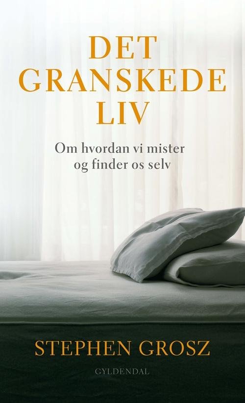 Det granskede liv - Stephen Grosz - Bøger - Gyldendal - 9788702164824 - 13. oktober 2014