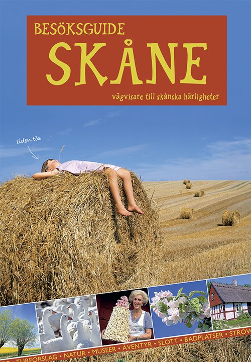 Besöksguide Skåne - Håkan Sandbring Martin Borg - Books - Salix - 9789163188824 - January 3, 2001
