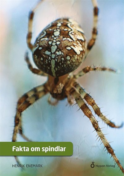 Cover for Henrik Enemark · Fakta om spindlar (ePUB) [Ned edition] (2022)