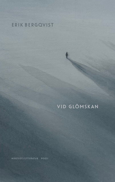 Cover for Erik Bergqvist · Vid glömskan (Bound Book) (2024)