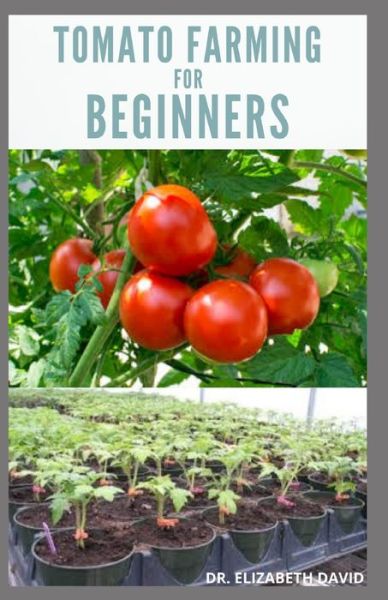 Cover for Dr Elizabeth David · Tomato Farming for Beginners (Paperback Book) (2020)