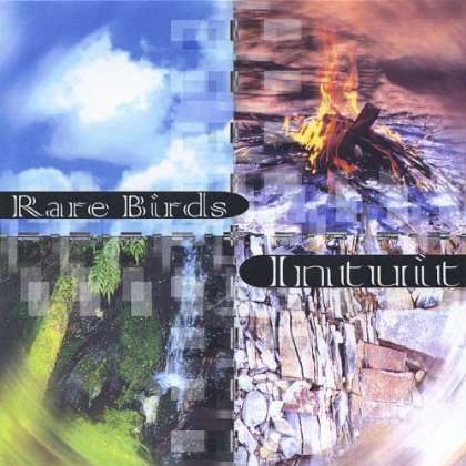 Cover for Rare Birds · Intuit (CD) (2000)