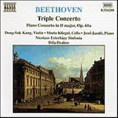 Triple Concerto for Violin, Cello & Piano - Ludwig Van Beethoven - Musiikki - NAXOS - 0636943428825 - maanantai 15. joulukuuta 2003