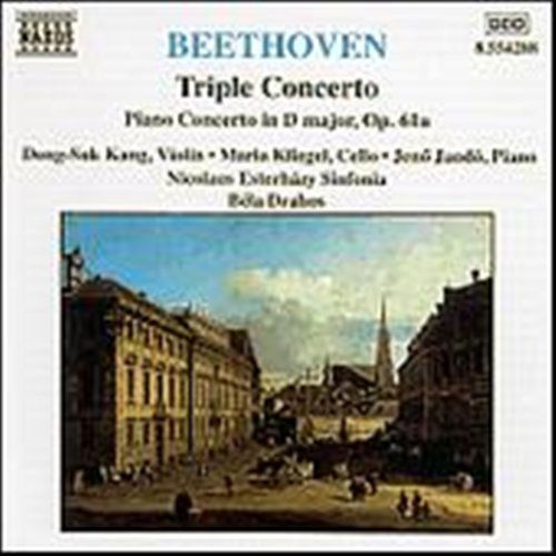Triple Concerto for Violin, Cello & Piano - Ludwig Van Beethoven - Musik - NAXOS - 0636943428825 - 15. december 2003