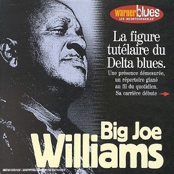 Cover for Big Joe Williams · La Figure Tut Laire (CD)