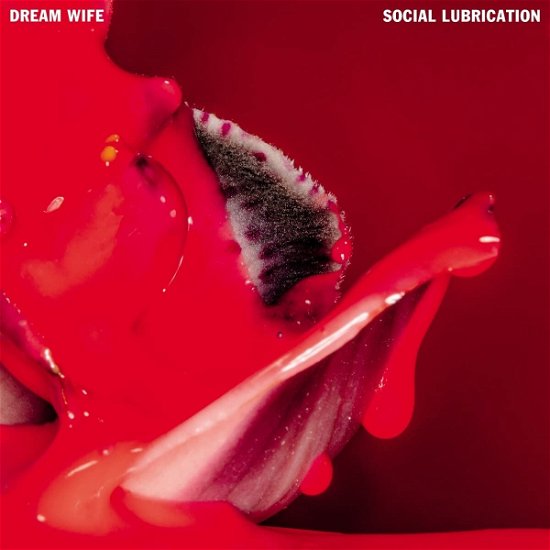 Cover for Dream Wife · Social Lubrication (CD) (2023)