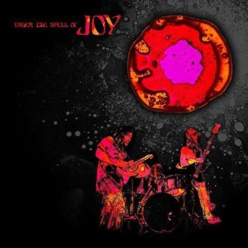 Cover for Joy · Under the Spell of Joy (CD) (2014)