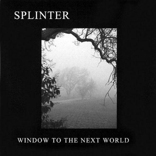 Cover for Splinter · Window to the Next World (CD) (2006)