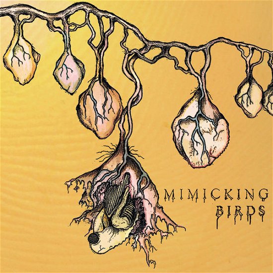 Cover for Mimicking Birds (CD) (2014)